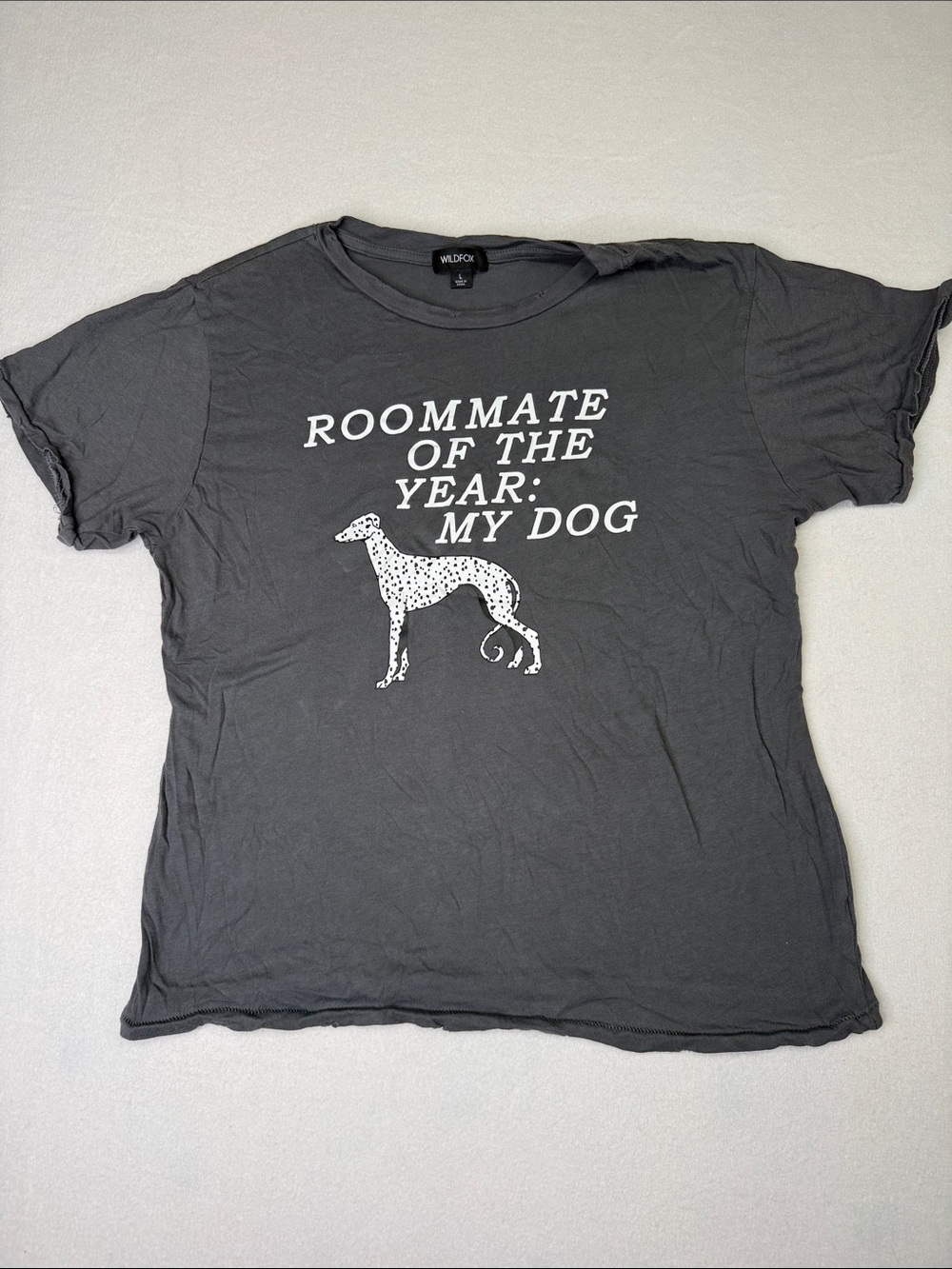 Wildfox Charcoal Graphic Tee 'Roommate of the Year: My Dog'